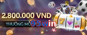 95win